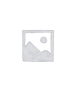 AI Video Creation